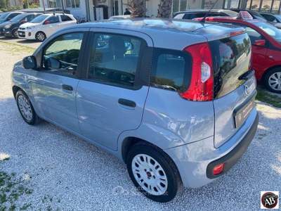 Fiat Panda 1.2 Easy Grigio usata Latina