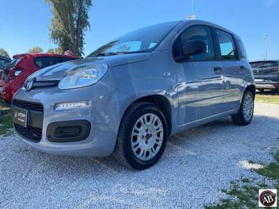 Fiat Panda 1.2 Easy Grigio usata Latina