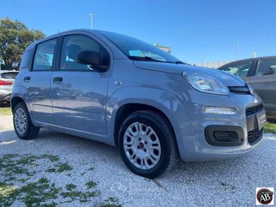 Fiat Panda 1.2 Easy Grigio usata Latina