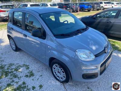 Fiat Panda 1.2 Easy Grigio usata Latina