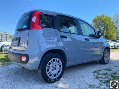 Fiat Panda 1.2 Easy Grigio usata Latina