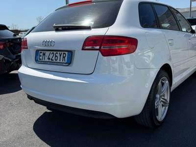 Audi A3 AUDI A3 1.6 AMBITION Bianco usata Giugliano in Campania