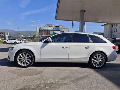 Audi A4 Avant 2.0 TDI 120 CV Advanced Bianco usata Montecatini-Terme