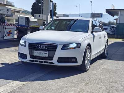 Audi A4 Avant 2.0 TDI 120 CV Advanced Bianco usata Montecatini-Terme