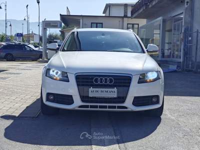 Audi A4 Avant 2.0 TDI 120 CV Advanced Bianco usata Montecatini-Terme