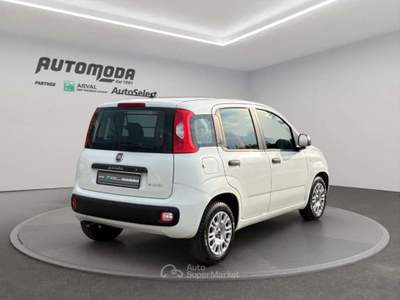 Fiat Panda FIAT PANDA VAN 4 POSTI HYBRID Bianco usata San Miniato