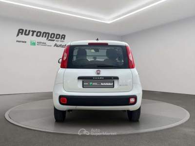 Fiat Panda FIAT PANDA VAN 4 POSTI HYBRID Bianco usata San Miniato