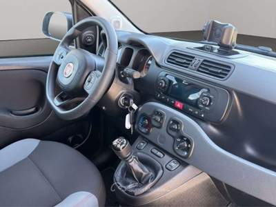 Fiat Panda 84cv Bianco usata San Miniato