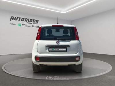 Fiat Panda 84cv Bianco usata San Miniato