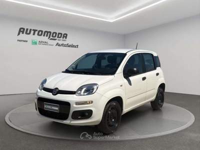 Fiat Panda 84cv Bianco usata San Miniato