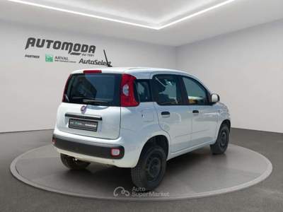 Fiat Panda 84cv Bianco usata San Miniato