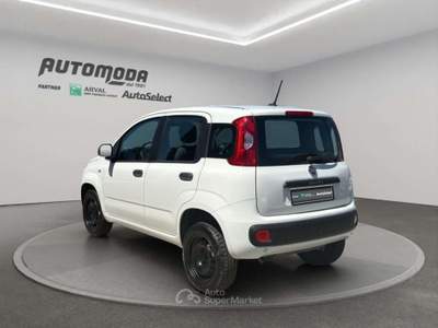 Fiat Panda 84cv Bianco usata San Miniato