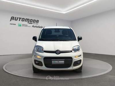 Fiat Panda 84cv Bianco usata San Miniato