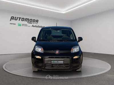 Fiat Panda 1.0 70CV HYBRID Nero usata San Miniato