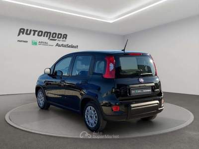 Fiat Panda 1.0 70CV HYBRID Nero usata San Miniato