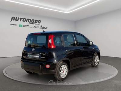 Fiat Panda 1.0 70CV HYBRID Nero usata San Miniato