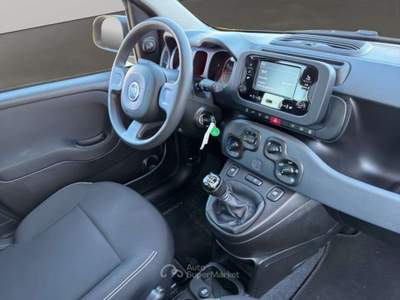 Fiat Panda 1.0 70CV HYBRID Nero usata San Miniato