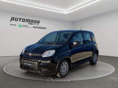 Fiat Panda 1.0 70CV HYBRID Nero usata San Miniato