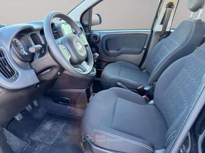 Fiat Panda 1.0 70CV HYBRID Nero usata San Miniato