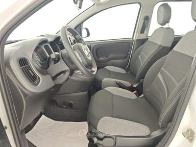 Fiat Panda Panda 1.0 FireFly S&S Hybrid City Cross Bianco usata Capua