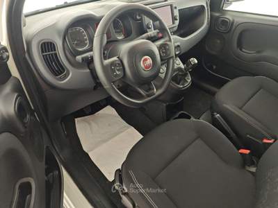 Fiat Panda Panda 1.0 FireFly S&S Hybrid City Cross Bianco usata Capua