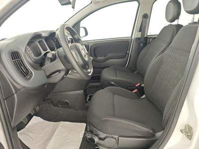 Fiat Panda Panda 1.0 FireFly S&S Hybrid City Cross Bianco usata Capua