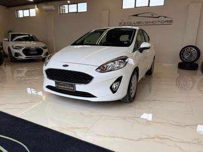 Ford Fiesta 5 porte Business Bianco usata Latina