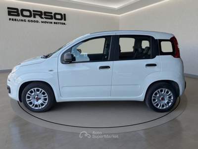 Fiat Panda  - panda 1.0 firefly s&s hybrid Bianco usata Treviso