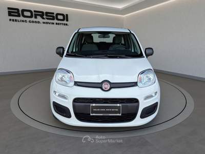 Fiat Panda  - panda 1.0 firefly s&s hybrid Bianco usata Treviso
