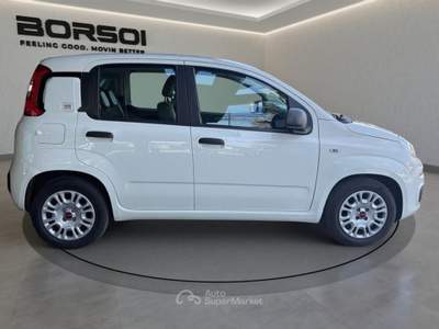 Fiat Panda  - panda 1.0 firefly s&s hybrid Bianco usata Treviso