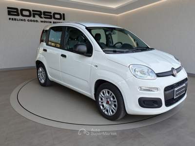 Fiat Panda  - panda 1.0 firefly s&s hybrid Bianco usata Treviso
