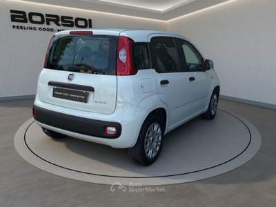 Fiat Panda  - panda 1.0 firefly s&s hybrid Bianco usata Treviso