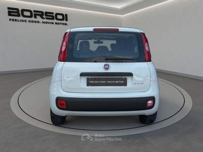 Fiat Panda  - panda 1.0 firefly s&s hybrid Bianco usata Treviso
