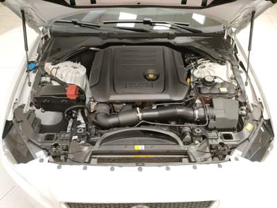 Jaguar XE  - xe 2.0 d turbo 180cv pure Bianco usata Civitanova Marche