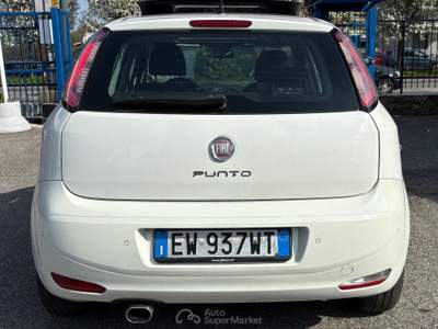 Fiat Punto Lounge usata Torino