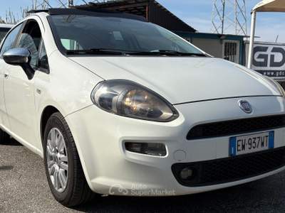 Fiat Punto Lounge usata Torino
