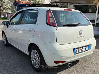 Fiat Punto Lounge usata Torino