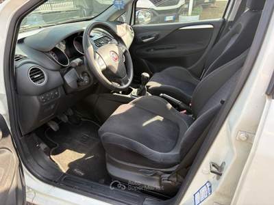 Fiat Punto Lounge usata Torino