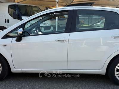 Fiat Punto Lounge usata Torino