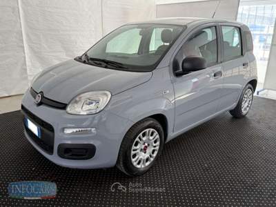 Fiat Panda 1.0 Hybrid 70 CV - NEOPATENTATI - PROMO Grigio usata Este