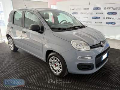Fiat Panda 1.0 Hybrid 70 CV - NEOPATENTATI - PROMO Grigio usata Este