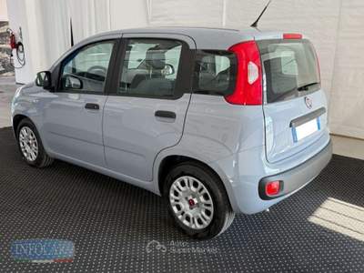 Fiat Panda 1.0 Hybrid 70 CV - NEOPATENTATI - PROMO Grigio usata Este