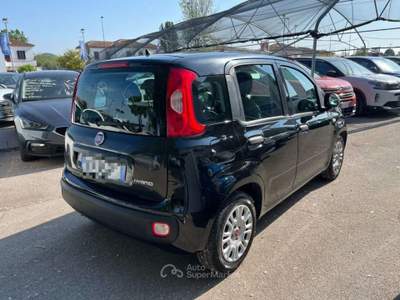 Fiat Panda 1.0 FireFly S&S Hybrid NEOPATENTATI PROMO Nero usata Este