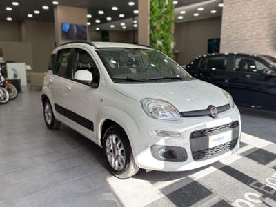 Fiat Panda 1.2 EasyPower GPL 4 posti Bianco usata Volla