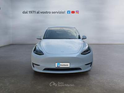 Tesla Model Y AWD Performance Bianco usata Castagnaro