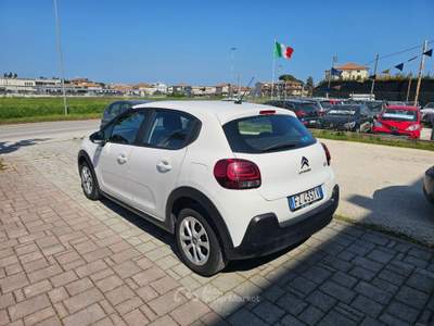 Citroen C3 BlueHDi 100 S&S Business Combi Bianco usata Civitanova Marche