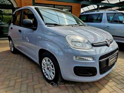 Fiat Panda 1.0 FireFly S&S Hybrid Grigio usata Bisuschio