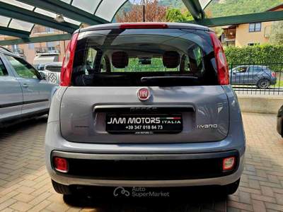 Fiat Panda 1.0 FireFly S&S Hybrid Grigio usata Bisuschio