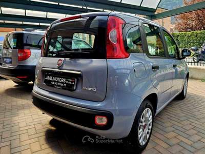 Fiat Panda 1.0 FireFly S&S Hybrid Grigio usata Bisuschio