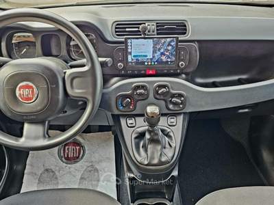 Fiat Panda 1.0 FireFly S&S Hybrid Grigio usata Bisuschio